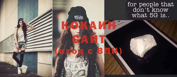 молекула духа Новодвинск