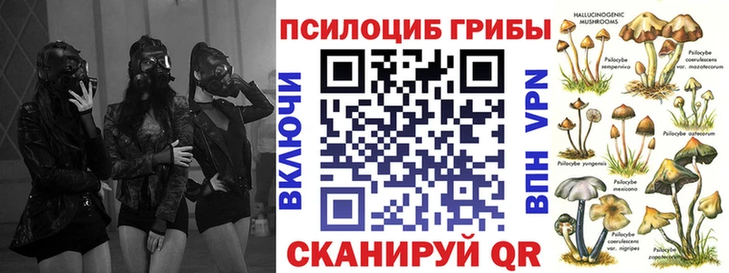 купить  цена  omg зеркало  Псилоцибиновые грибы Cubensis  Рассказово 