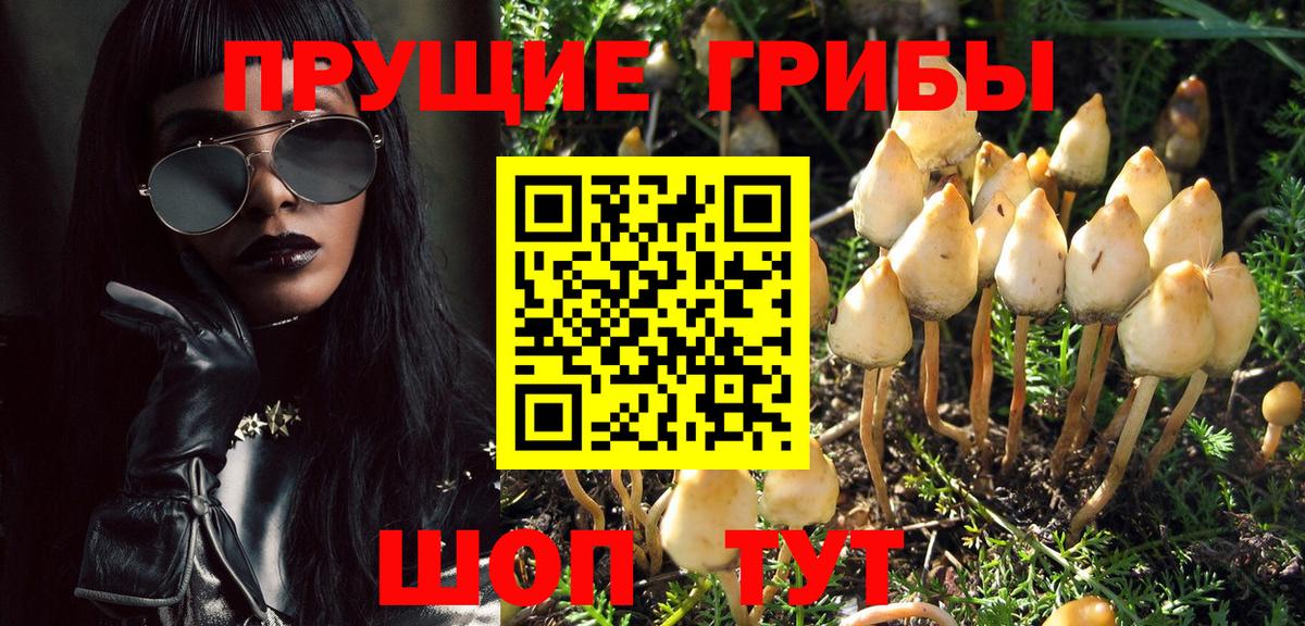 Рассказово  Галлюциногенные грибы Psilocybe  Вход с VPN  Псилоцибиновые грибы мухоморы 
